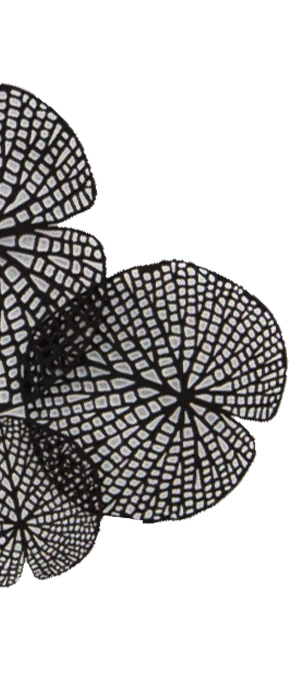 decoration decoration